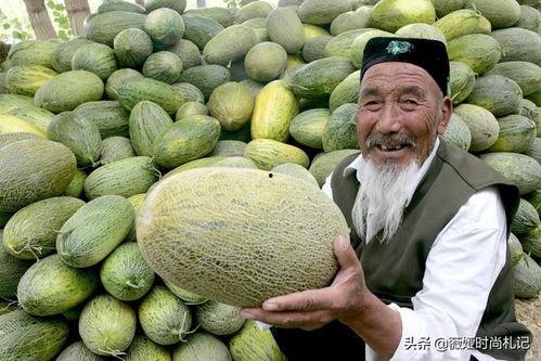 吃泰国的哈密瓜好吗视频,口感与营养的双重享受