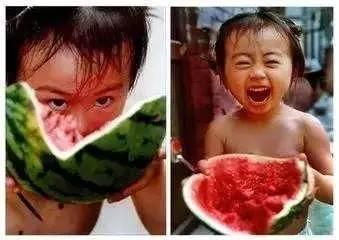 吃八瓜视频大全,趣味横生的美食盛宴