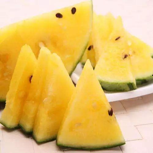 老布瓜怎么吃最好吃视频,视频教你如何烹饪出最佳口感