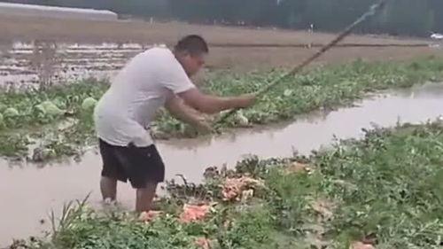 怎样吃瓜不拉肚子视频,告别拉肚子，享受夏日清凉