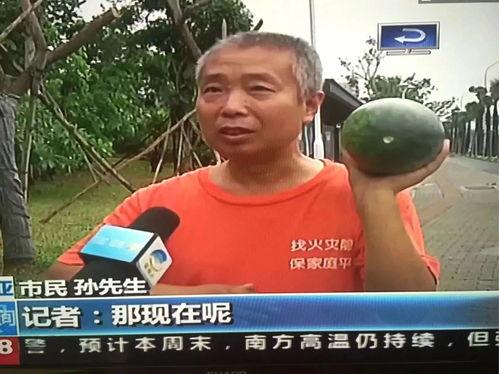 永昌吃瓜事件视频播放,视频曝光引发网友热议