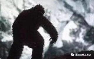 西藏雪人突然吃瓜视频,西藏奇观引网友热议