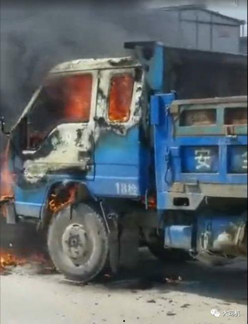 货车吃瓜群众视频,揭秘货车司机的生活百态