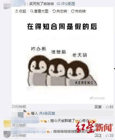 吃瓜被骗完整视频,视频揭露网络陷阱真相