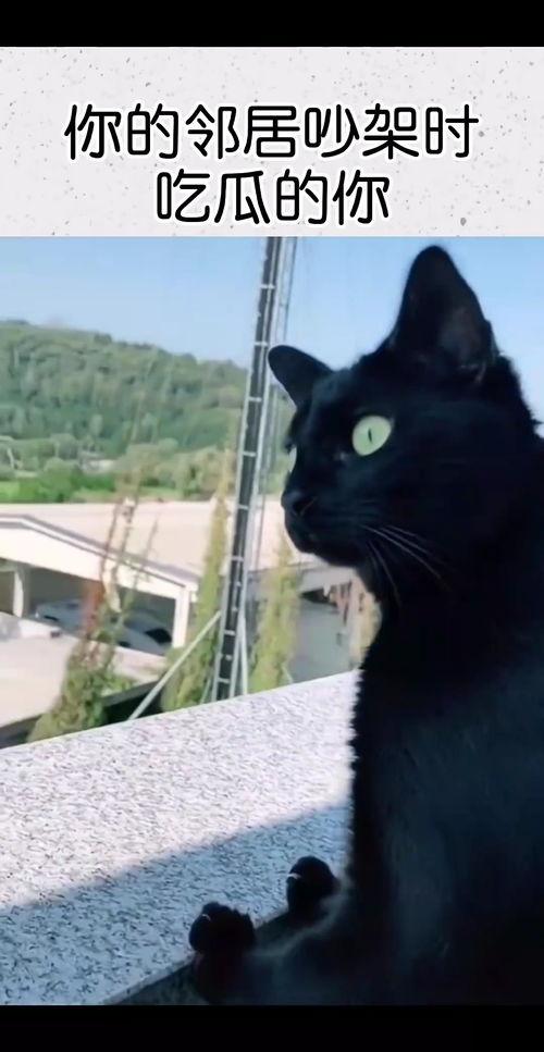 吃瓜邻居吵架视频大全