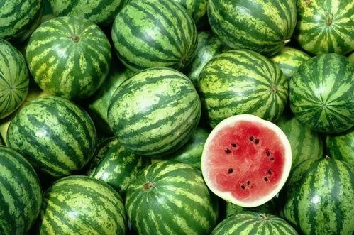 老表卖西瓜吃瓜视频,一场别开生面的吃瓜盛宴