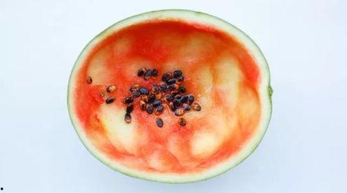 长柄吃瓜勺子怎么用视频,轻松享受夏日清凉