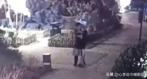 韩城吃瓜事件杀手视频,杀手视频揭秘惊人真相