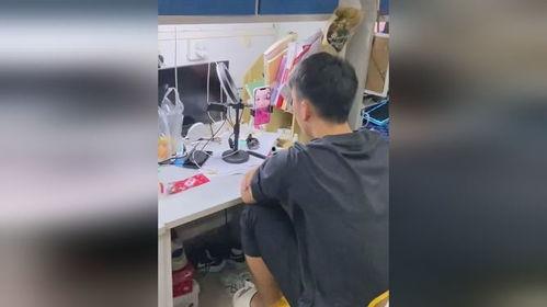 一群吃瓜女人视频大全集