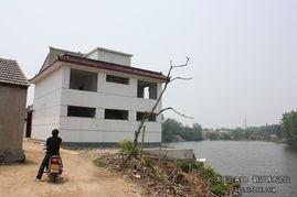 新沂窑湾吃瓜事件视频,一场引发热议的网络视频风波