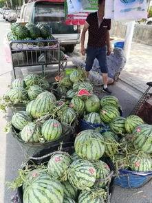 本溪吃瓜事件视频最新,一场网络热议的真相揭秘