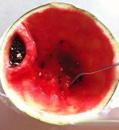 新疆人吃瓜的视频,一场视觉与味蕾的双重盛宴